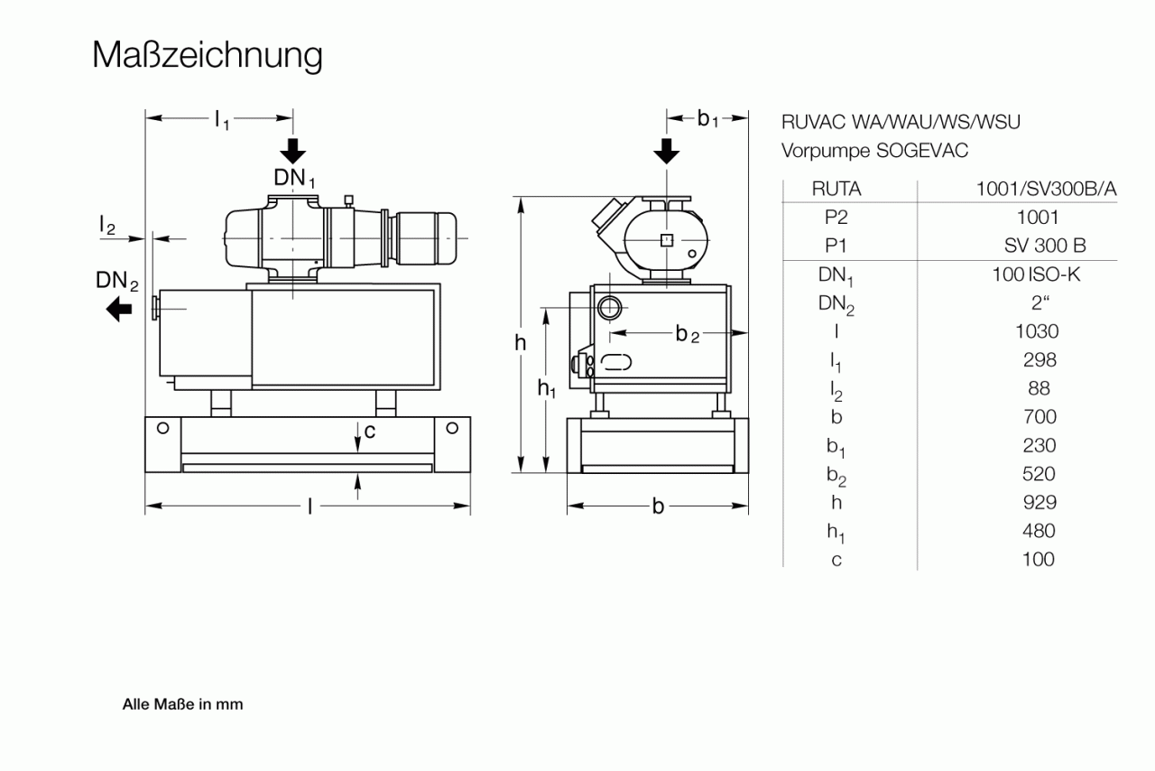 Hệ thống bơm chân không Leybold RUTA WAU 1001 / SV 300 B / A 0