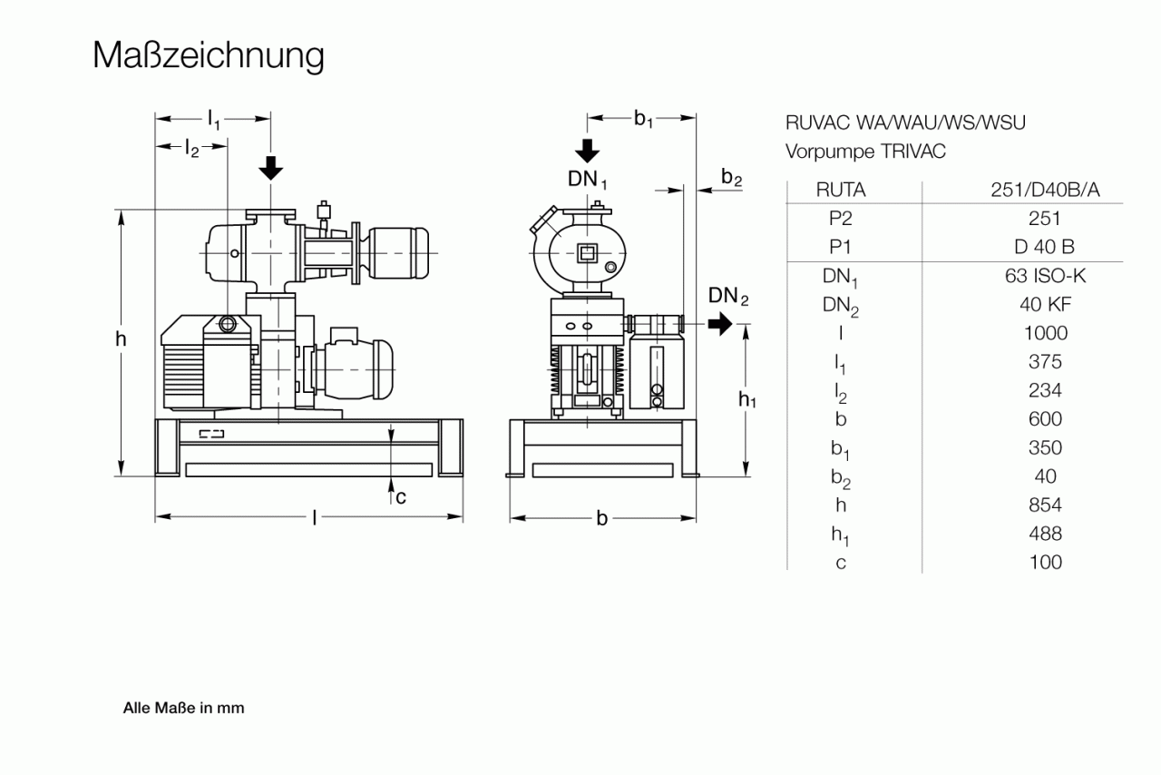 Hệ thống bơm chân không Leybold RUTA WAU 251 / D 40 B / A 0