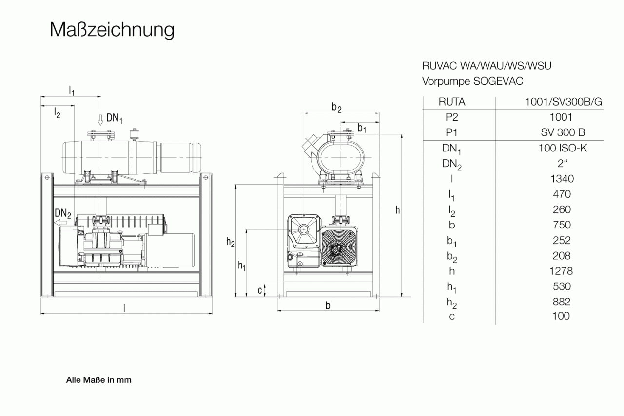Hệ thống bơm chân không Leybold RUTA WAU 1001 / SV 300 B / G 0